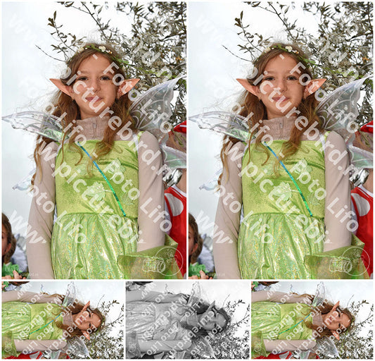 Evenement foto: Serie 1466