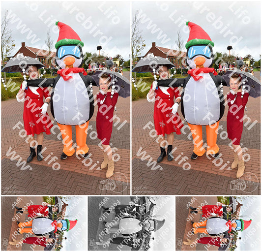 Evenement foto: Serie 1466