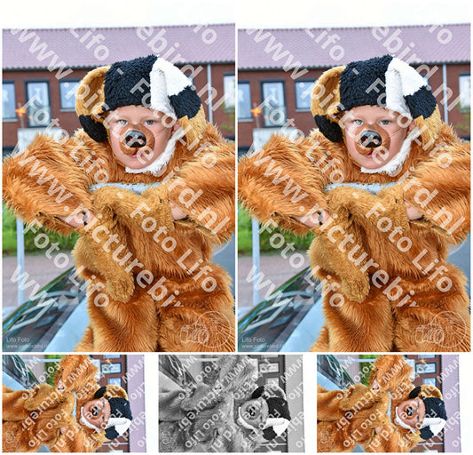 Evenement foto: Serie 1466