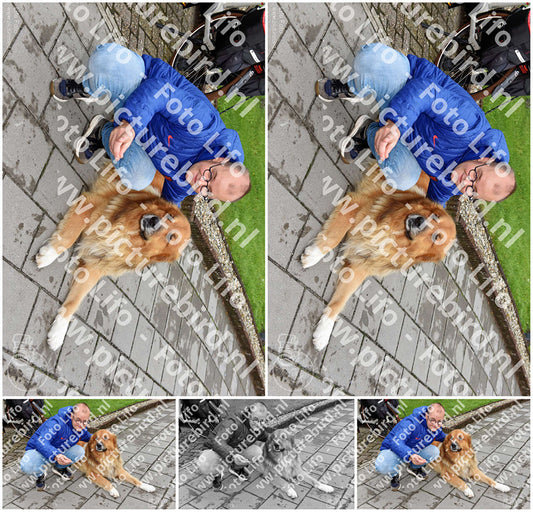 Evenement foto: Serie 1467