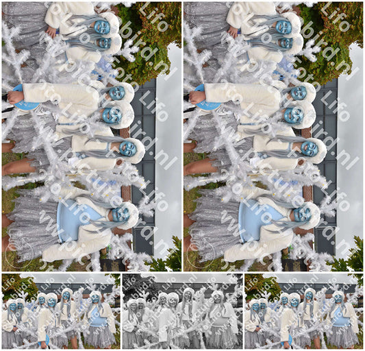 Evenement foto: Serie 1469