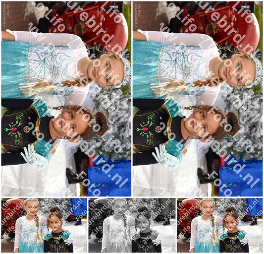 Evenement foto: Serie 1469