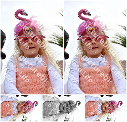 Evenement foto: Serie 1469