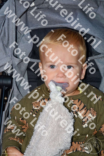 Evenement foto: Serie 1166 Serie 1166