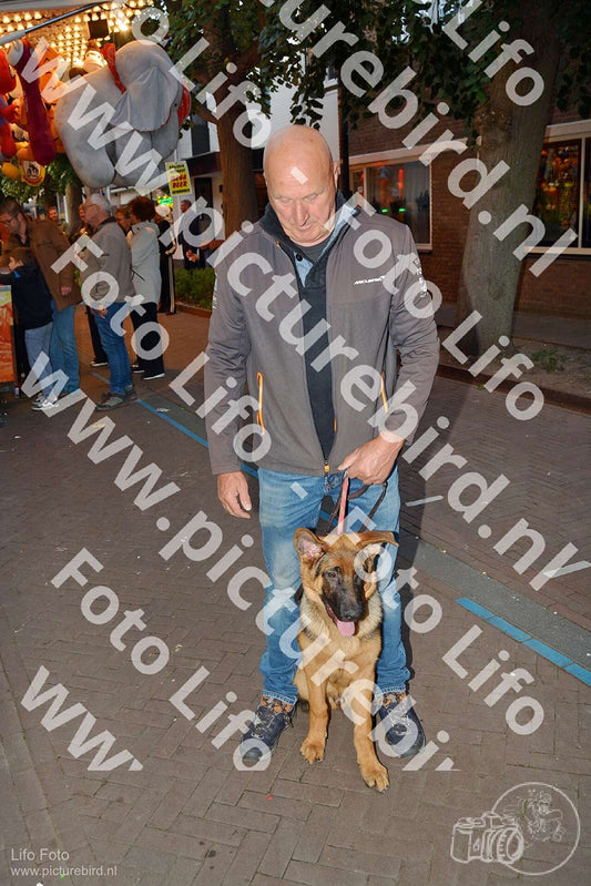 Evenement foto: Serie 1166 en  Serie 1167