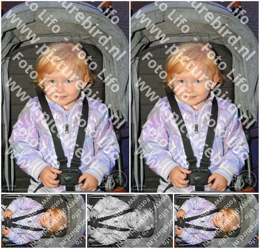 Evenement foto: Serie 1167