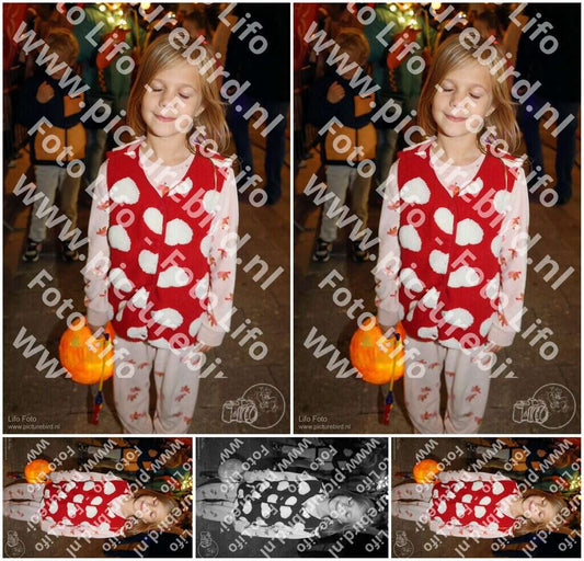 Evenement foto: Serie 732