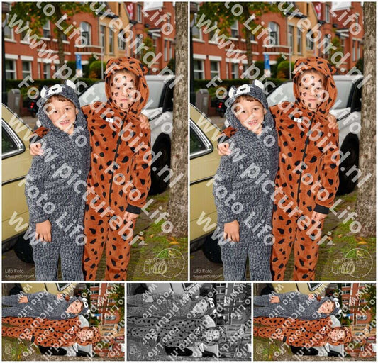 Evenement foto: Serie 736