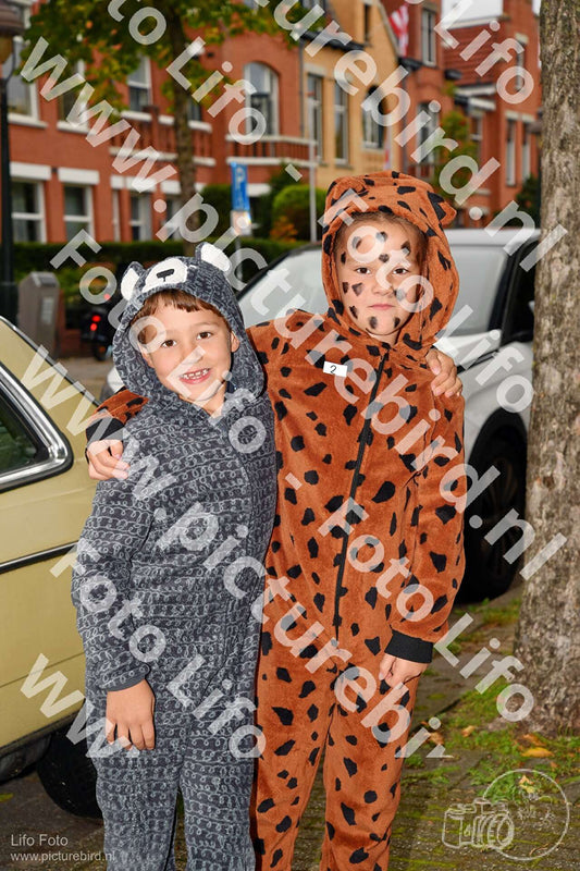 Evenement foto: Serie 736