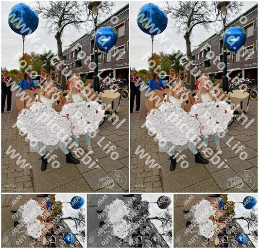 Evenement foto: Serie 736