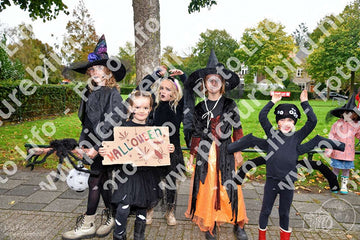 Evenement foto: Serie 736