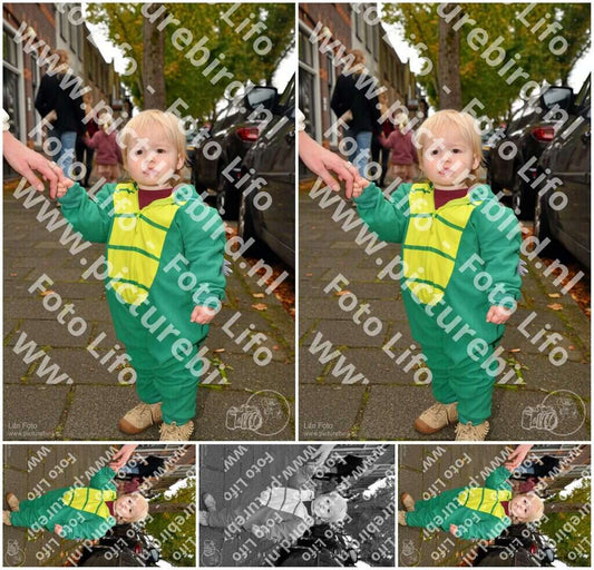 Evenement foto: Serie 736