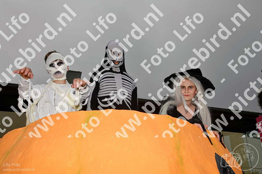 Evenement foto: Serie 737