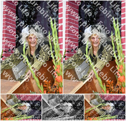 Evenement foto: Serie 737