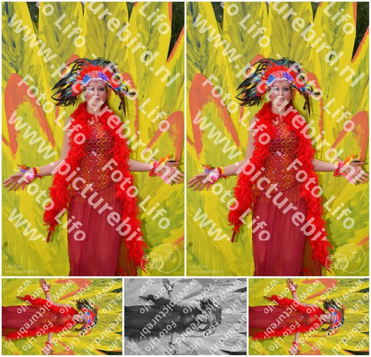 Evenement foto: Serie 738