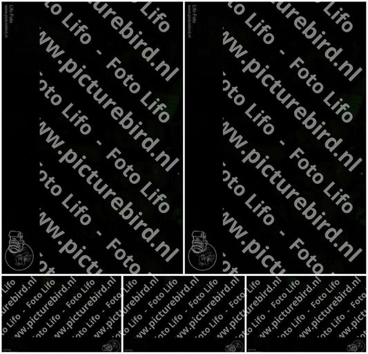 Evenement foto: Serie 793