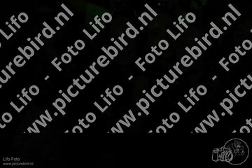 Evenement foto: Serie 793