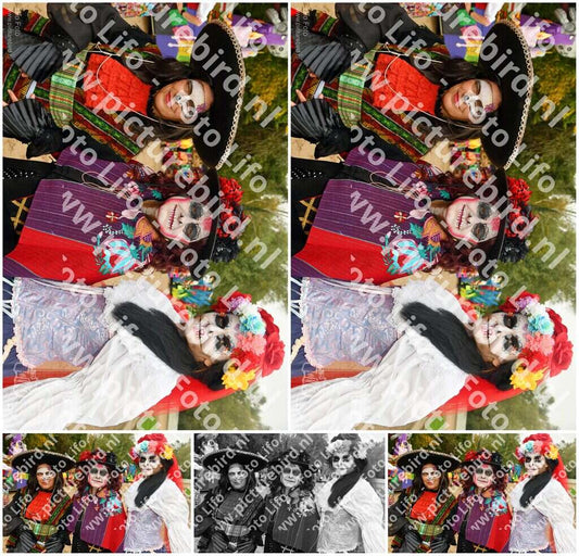 Evenement foto: Serie 1402