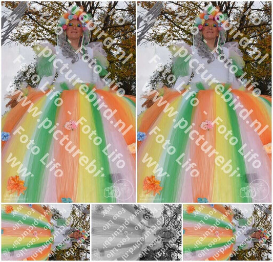 Evenement foto: Serie 774