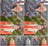Evenement foto: Serie 1605
