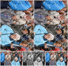 Evenement foto: Serie 1719