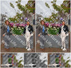 Evenement foto: Serie 1792