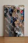 Evenement foto: Serie NKK 2