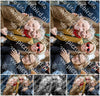 Evenement foto: Serie NKK 14
