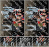 Evenement foto: Serie 1891