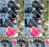 Evenement foto: DKM 15