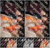 Evenement foto: DKM 1896