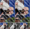 Evenement foto: Serie OAL 2