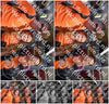 Evenement foto: Serie 1732