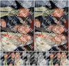 Evenement foto: Serie 1734