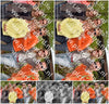 Evenement foto: DAN Serie 4