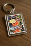 Evenement foto: DAN Serie 4