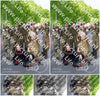 Evenement foto: Serie 1921