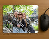 Evenement foto: Serie 1923