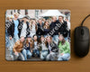Evenement foto: Serie 1927