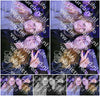 Evenement foto: Serie 1932