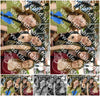 Evenement foto: Serie 1780
