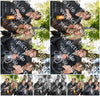 Evenement foto: Serie 1781