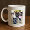 Evenement foto: Serie 1784