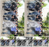 Evenement foto: Serie 1785