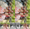 Evenement foto: Serie 1786