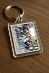 Evenement foto: Serie 1786