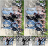 Evenement foto: Serie 1787