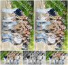 Evenement foto: Serie 1787