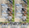 Evenement foto: Serie 1788
