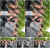 Evenement foto: Serie 1815